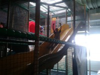 /album/fotogalerie-beckiland-rodinne-zabavni-centrum-pro-deti/beckiland-rodinne-zabavni-centrum-pro-deti22-jpg/